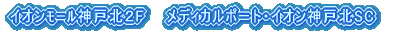 �C�I���_�˖k�V���b�s���O�Z���^�[�QF�E���f�B�J���|�[�g��